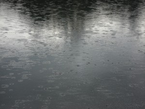 Rained Water